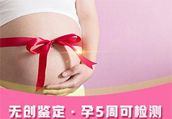 商洛怀孕八周要如何办理血缘检测，商洛孕期亲子鉴定多少钱一次