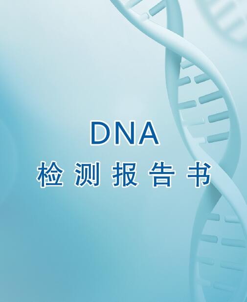 商洛亲子鉴定流程之出具报告